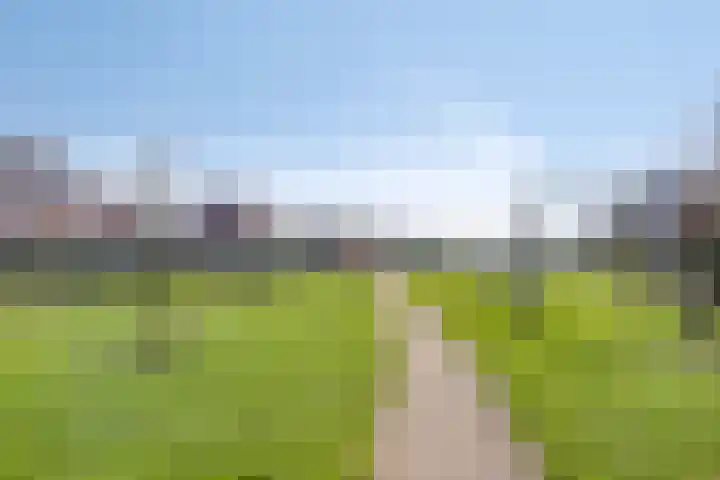 Akkermunt 57 Bodegraven thumbnail 42