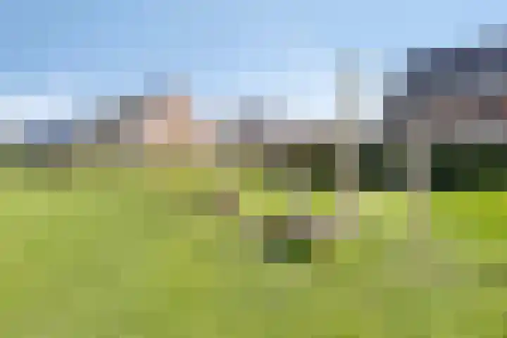 Akkermunt 57 Bodegraven thumbnail 43