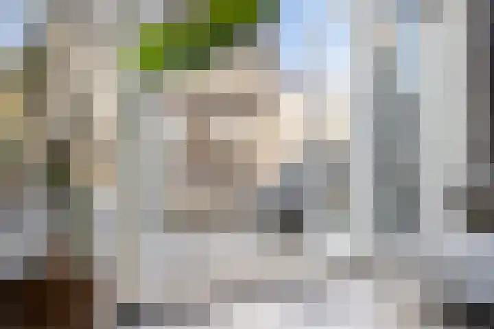 Akkermunt 57 Bodegraven thumbnail 7