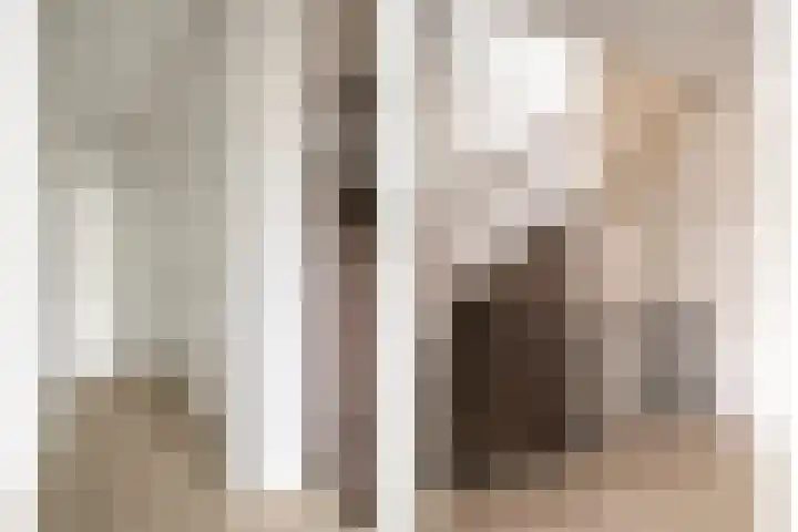 Akkermuntstraat 17 Beek en Donk thumbnail 15
