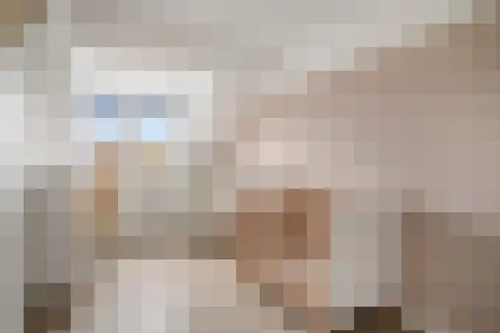 Akkermuntstraat 17 Beek en Donk thumbnail 21
