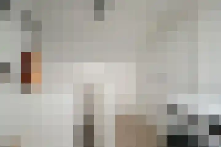 Akkermuntstraat 17 Beek en Donk thumbnail 28