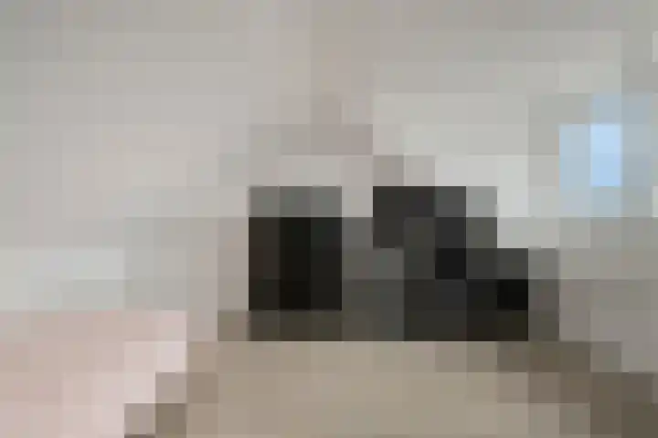 Akkermuntstraat 17 Beek en Donk thumbnail 30