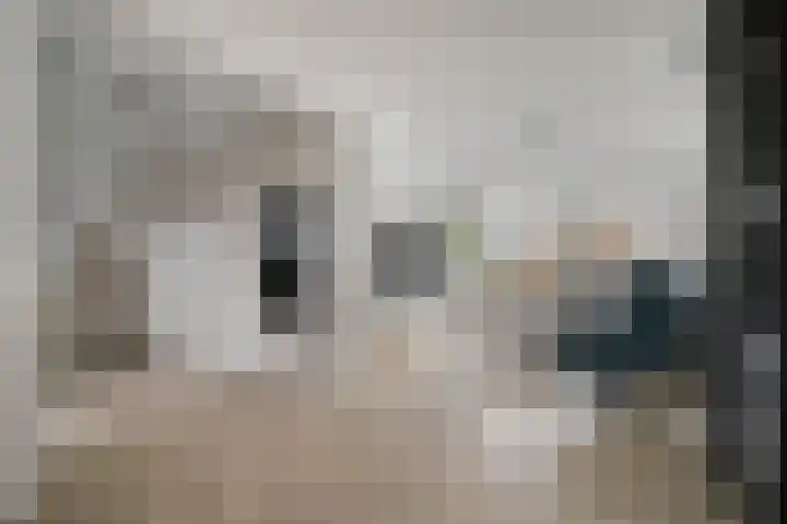 Akkermuntstraat 17 Beek en Donk thumbnail 4