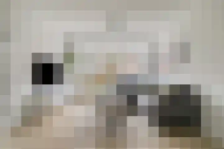 Akkermuntstraat 17 Beek en Donk thumbnail 5