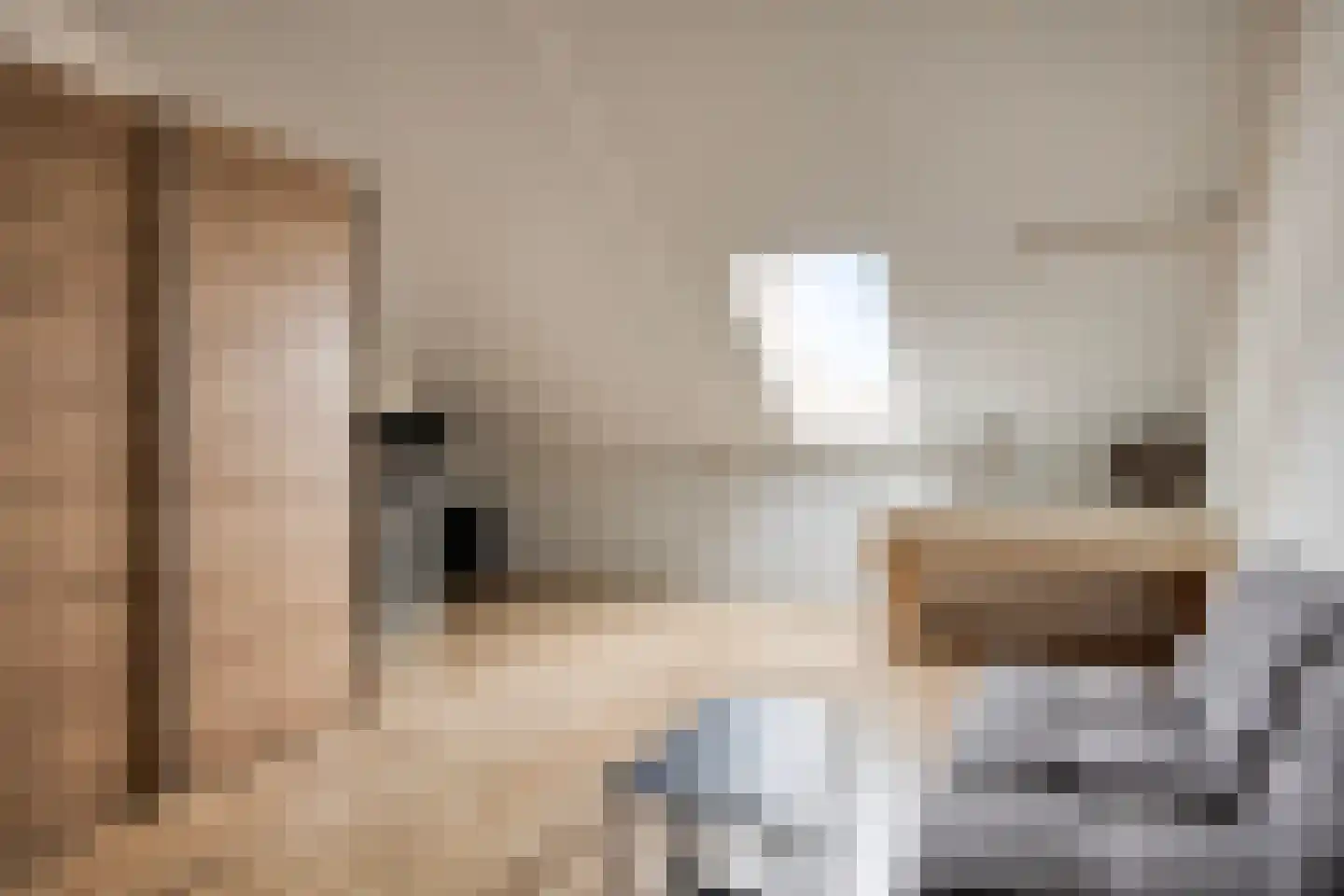 Akkernoot 27 Nuland thumbnail 27