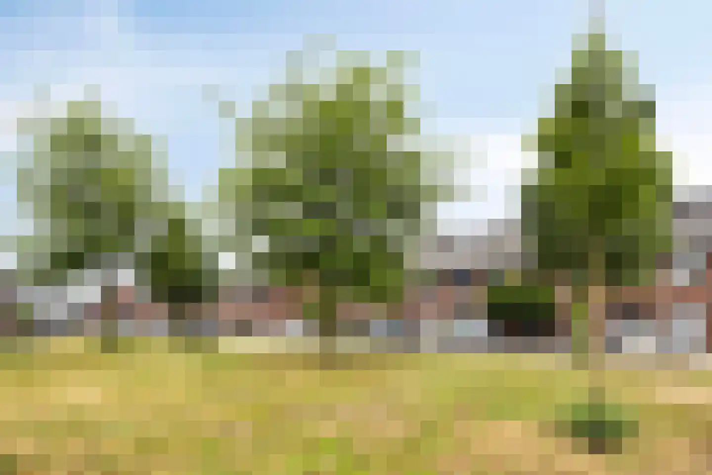 Akkernoot 27 Nuland thumbnail 28