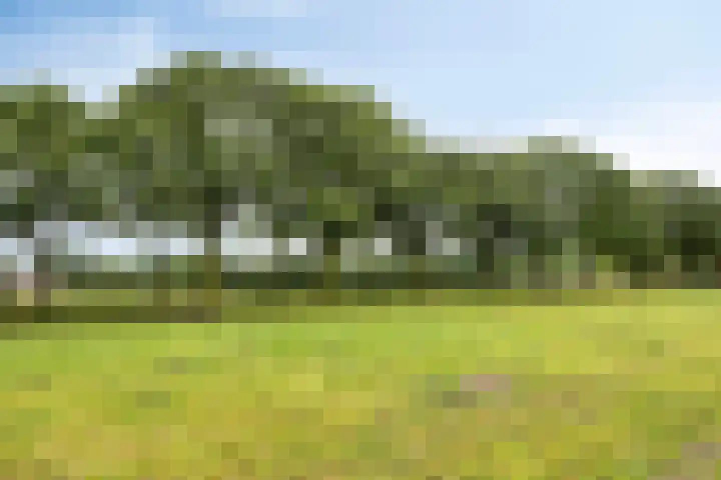 Akkernoot 27 Nuland thumbnail 30