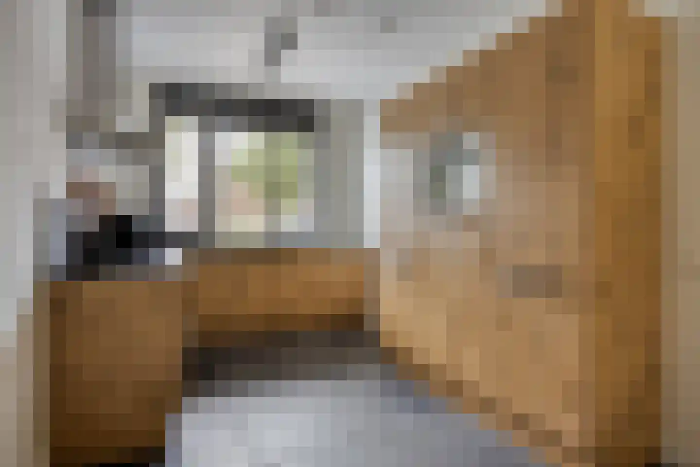 Akkernoot 27 Nuland thumbnail 8