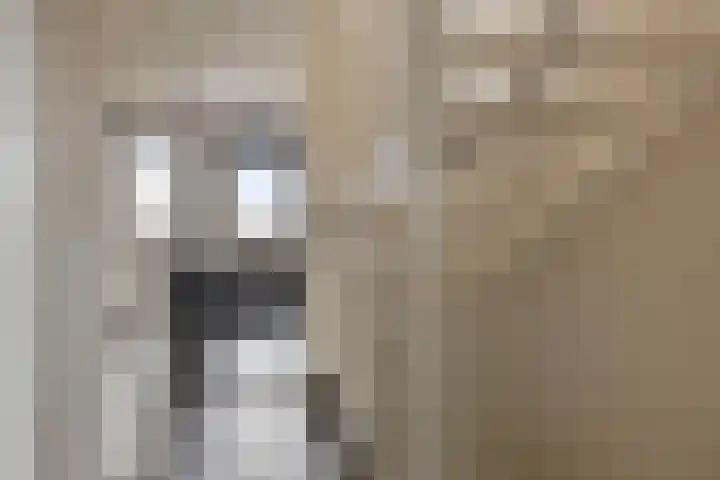 Akkernoot 31 Nuland thumbnail 11
