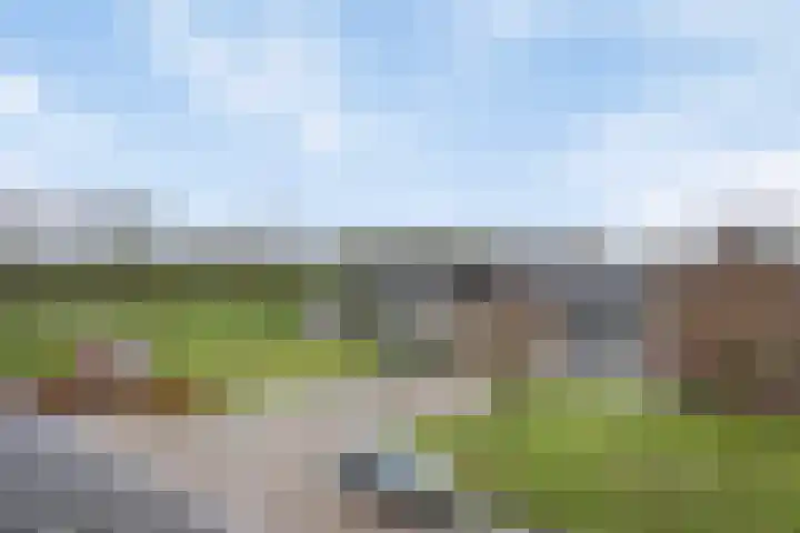 Akkernoot 31 Nuland thumbnail 13