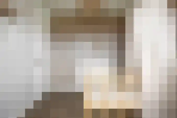 Akkernoot 31 Nuland thumbnail 14