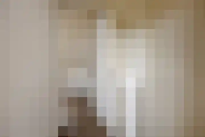 Akkernoot 31 Nuland thumbnail 20