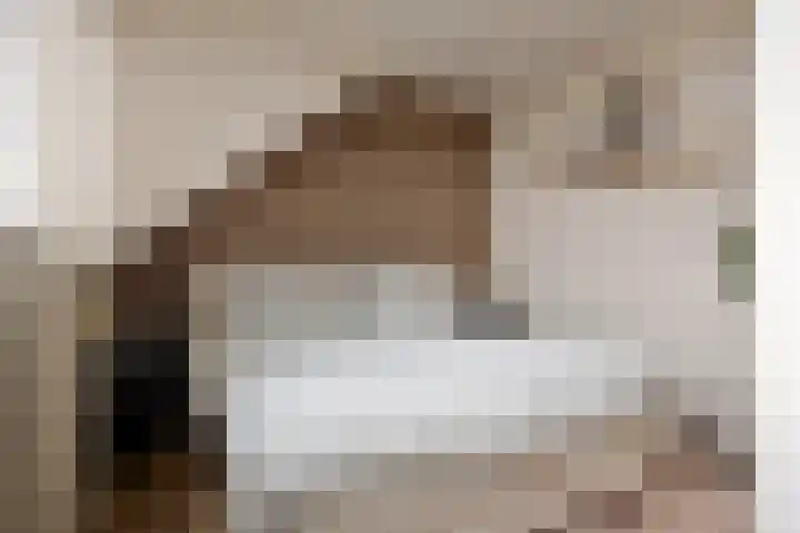 Akkernoot 31 Nuland thumbnail 21