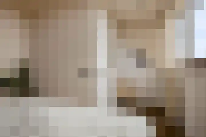 Akkernoot 31 Nuland thumbnail 22