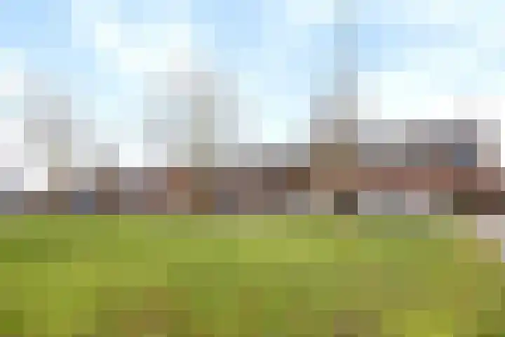 Akkernoot 31 Nuland thumbnail 26