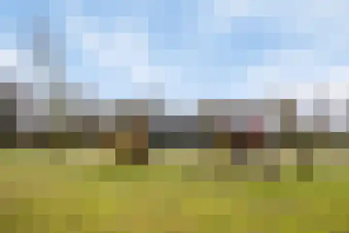 Akkernoot 31 Nuland thumbnail 27