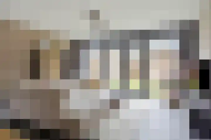 Akkernoot 31 Nuland thumbnail 7