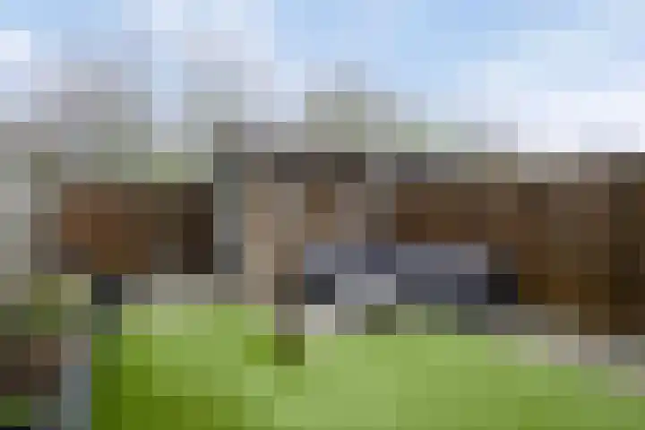 Akkernoot 31 Nuland thumbnail 8