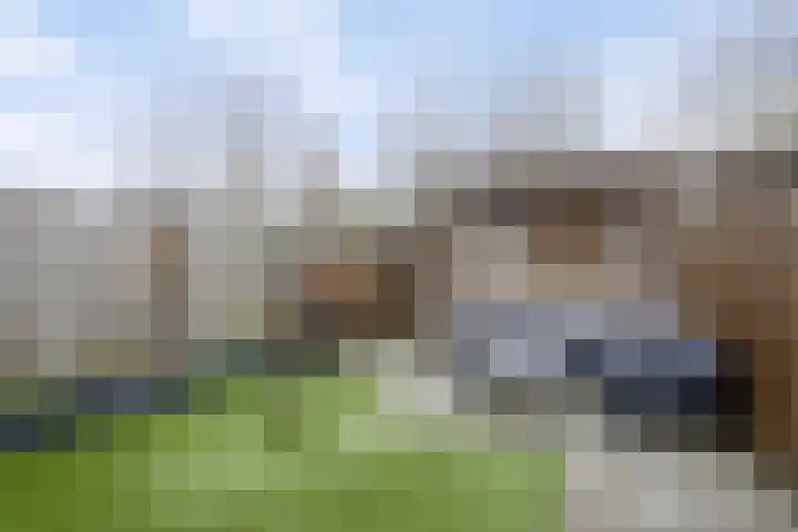 Akkernoot 31 Nuland thumbnail 9