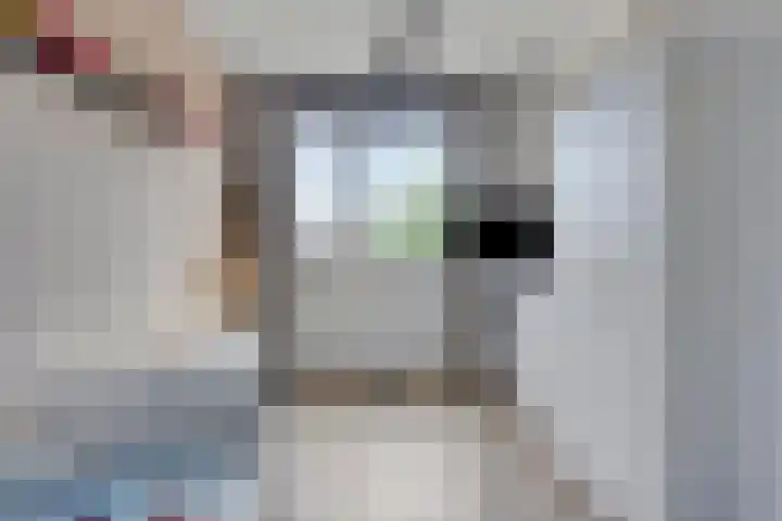 Akkernoot 35 Nuland thumbnail 11