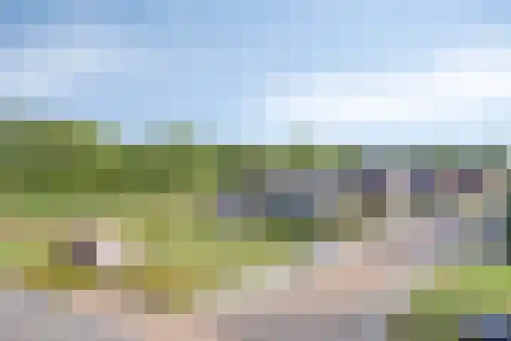Akkernoot 35 Nuland thumbnail 12