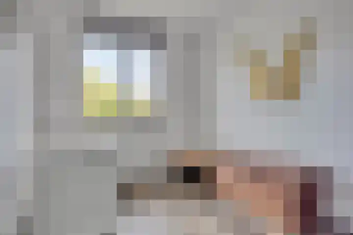 Akkernoot 35 Nuland thumbnail 14