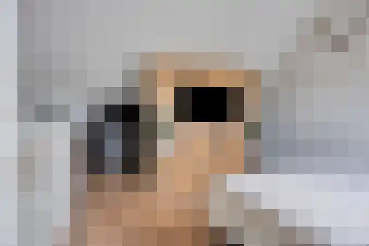 Akkernoot 35 Nuland thumbnail 21