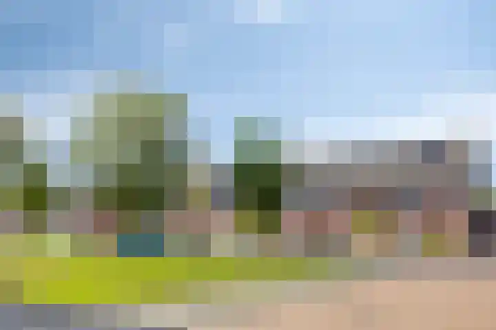 Akkernoot 35 Nuland thumbnail 24