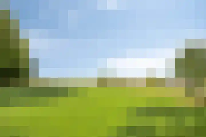 Akkernoot 35 Nuland thumbnail 26