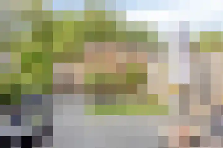 Akkernoot 35 Nuland thumbnail 4