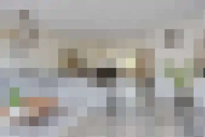 Akkernoot 35 Nuland thumbnail 7