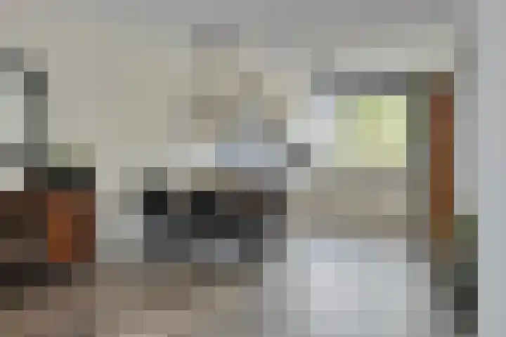 Akkernoot 35 Nuland thumbnail 8