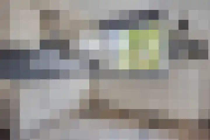 Akkernoot 35 Nuland thumbnail 9