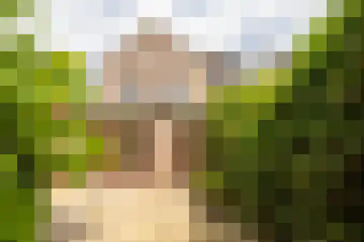 Akkerpad 29 Eemnes thumbnail 29