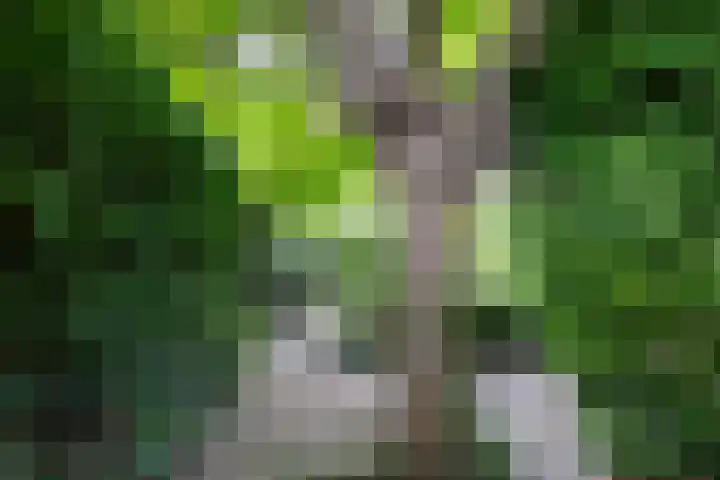 Akkerpad 29 Eemnes thumbnail 33