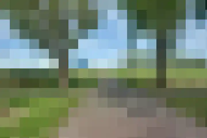 Akkerpad 3 's-Hertogenbosch thumbnail 40