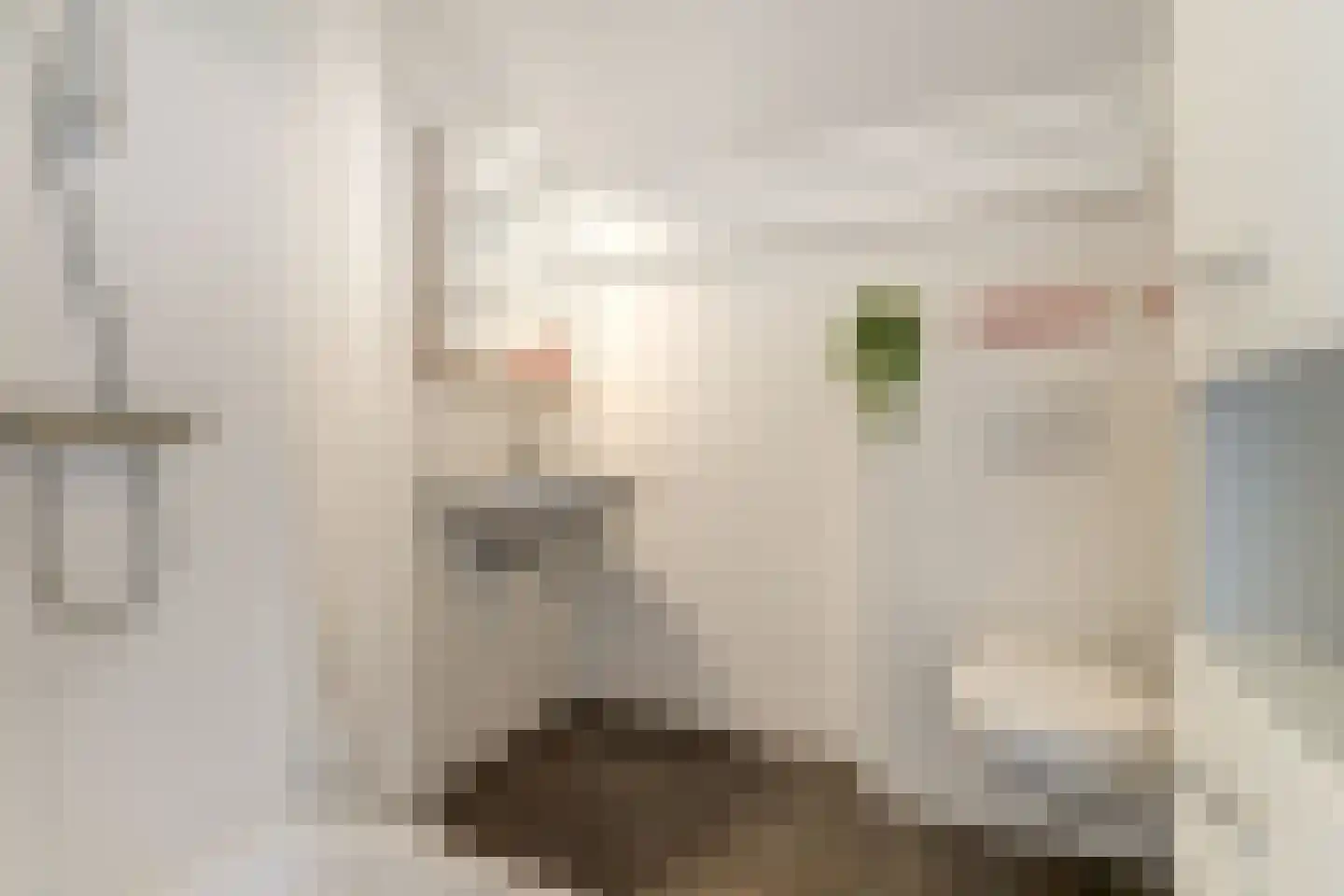 Akkerpadhof 4 Vlijmen thumbnail 20