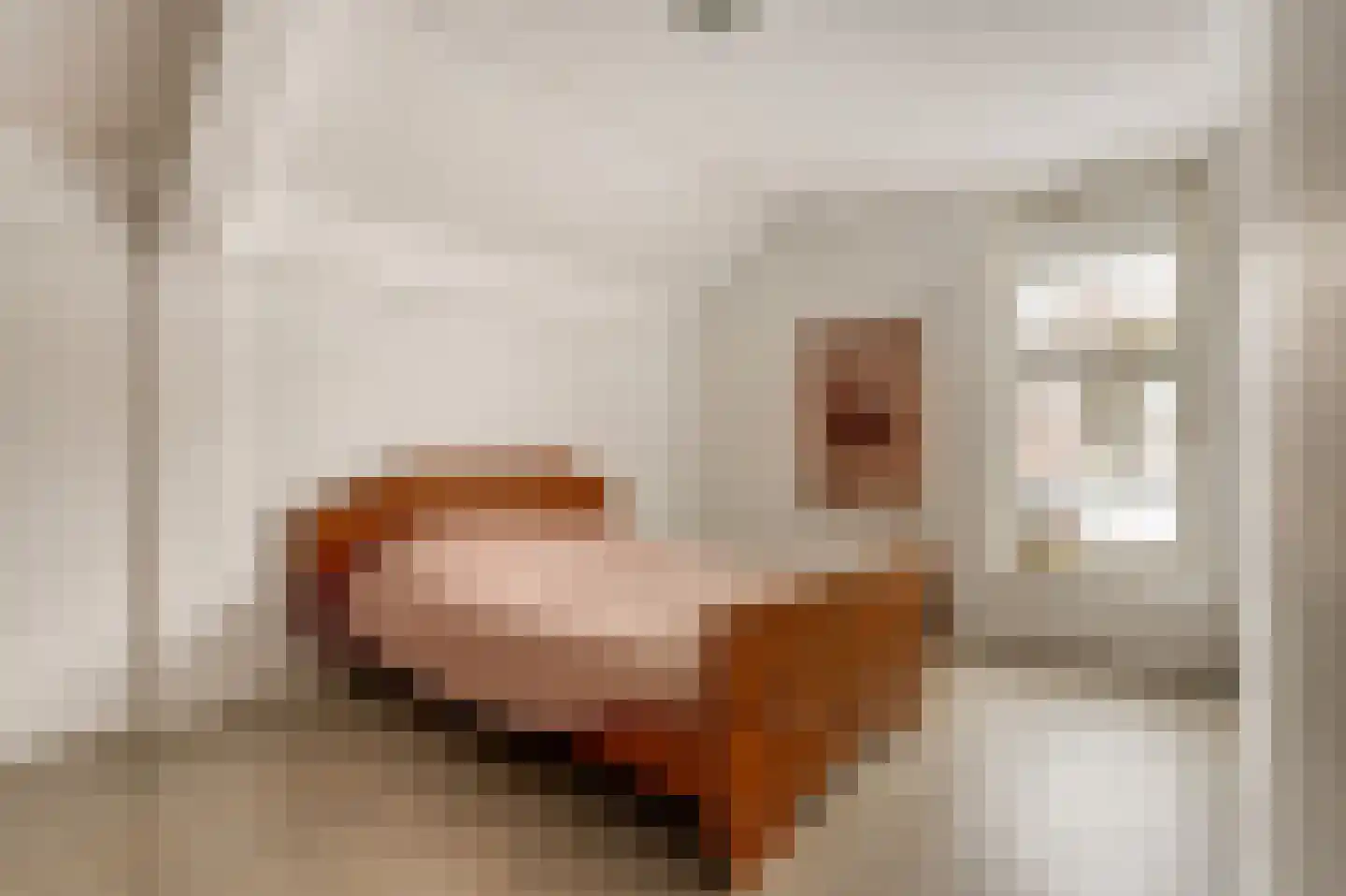 Akkerpadhof 4 Vlijmen thumbnail 22