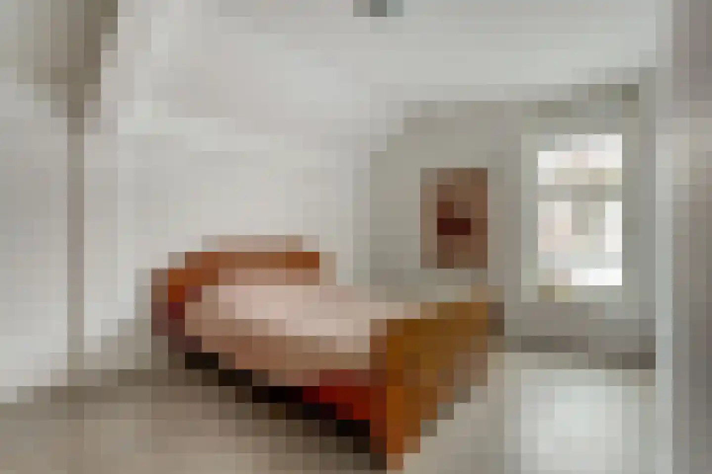 Akkerpadhof 4 Vlijmen thumbnail 22