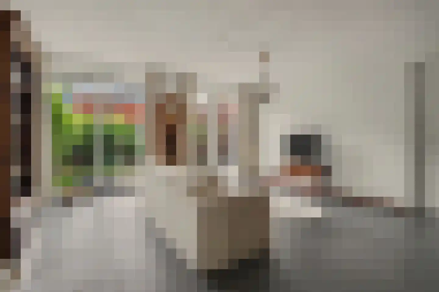 Akkerpadhof 4 Vlijmen thumbnail 7