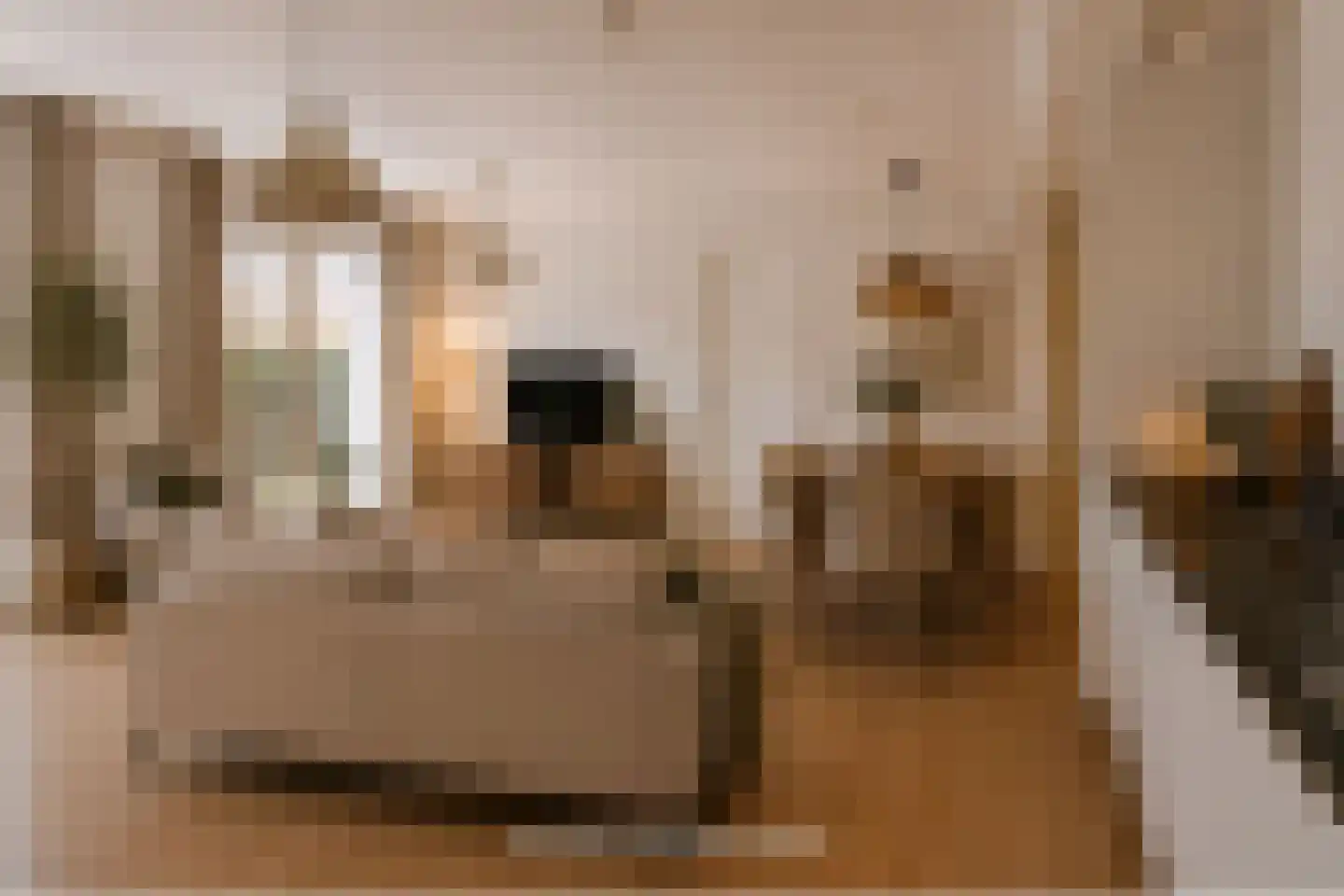 Akkerpadhof 4 Vlijmen thumbnail 8