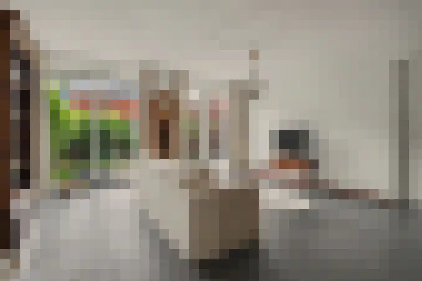 Akkerpadhof 4 Vlijmen thumbnail 9