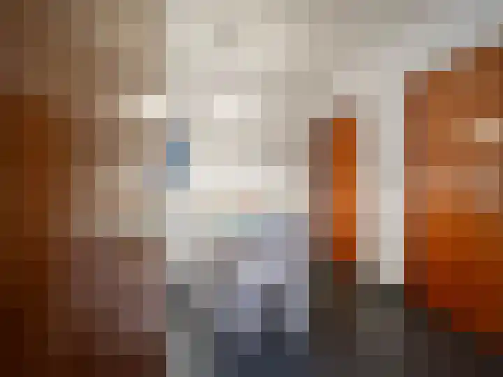 Akkerroosstraat 6 Bakel thumbnail 10