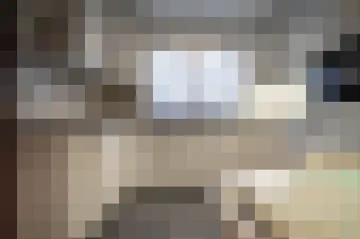 Akkerroosstraat 6 Bakel thumbnail 12