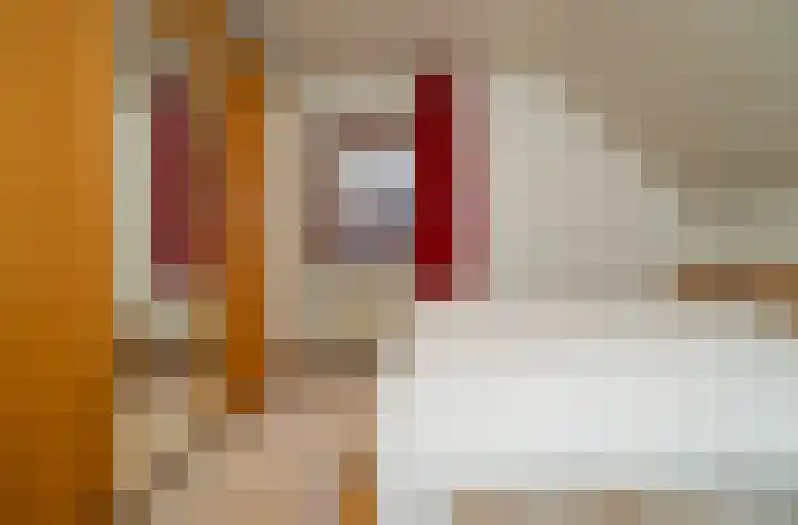 Akkerroosstraat 6 Bakel thumbnail 20