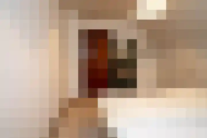 Akkerroosstraat 6 Bakel thumbnail 23