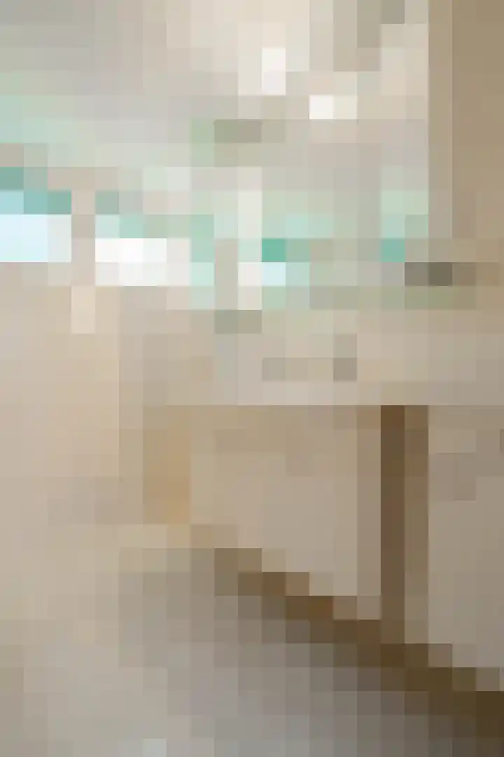 Akkerroosstraat 6 Bakel thumbnail 30