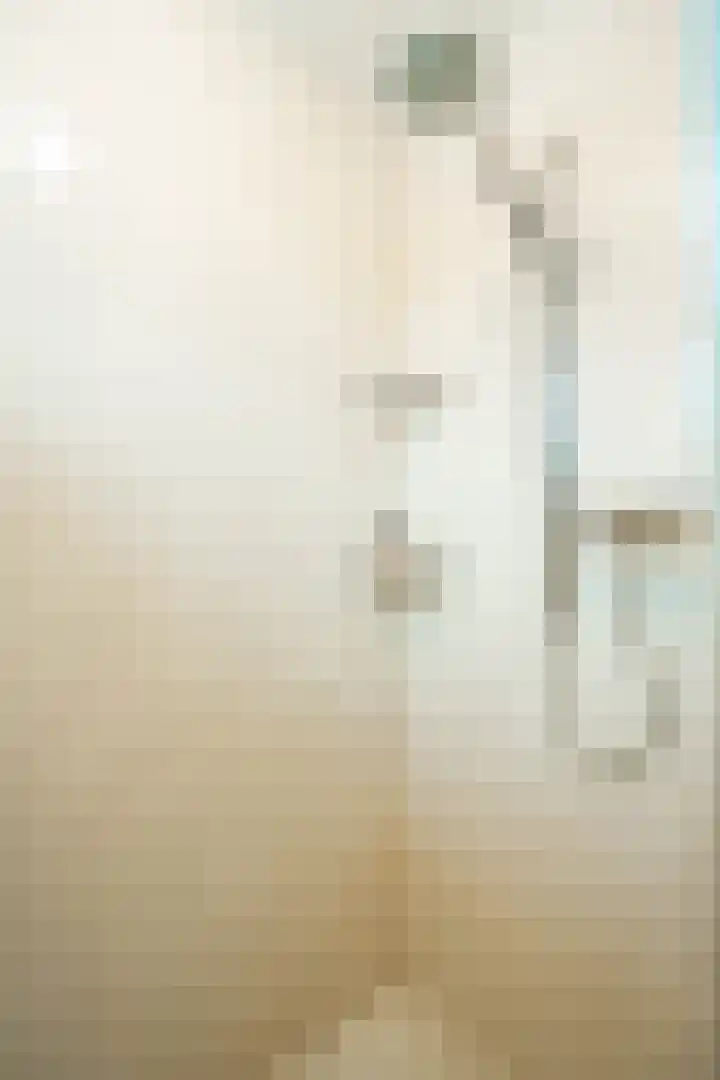 Akkerroosstraat 6 Bakel thumbnail 32