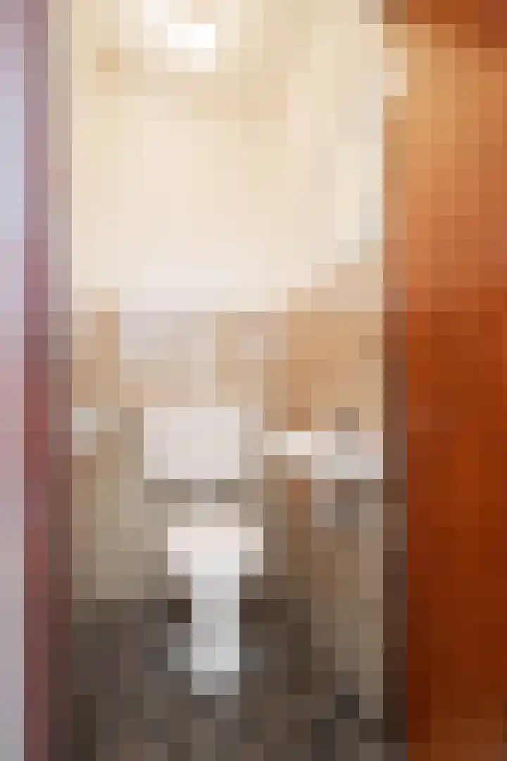 Akkerroosstraat 6 Bakel thumbnail 34